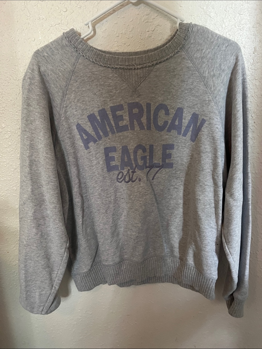 American Eagle Outfitters Light Gray Crewneck Sweatshirt